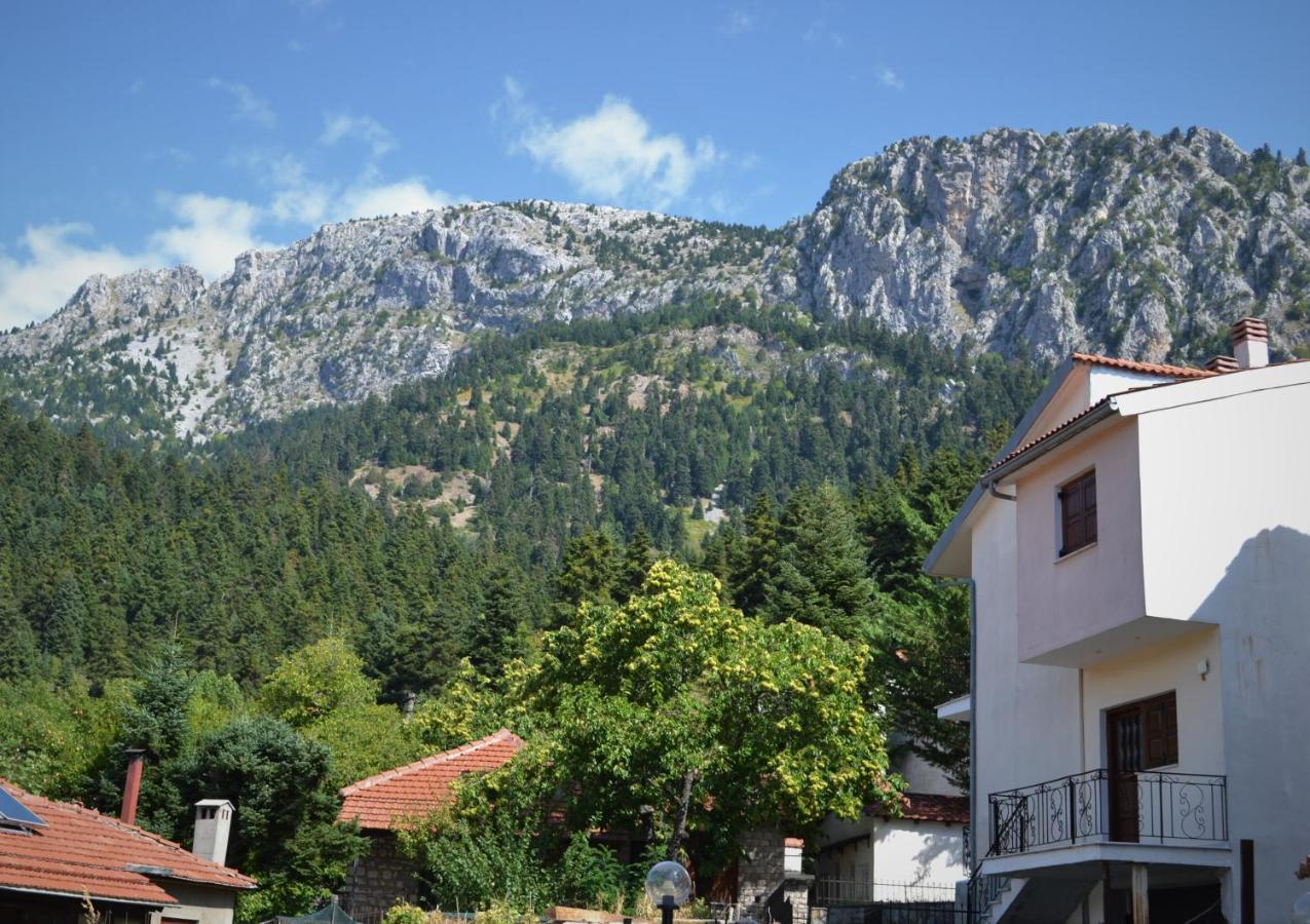 Apartament Elati Mansion Zewnętrze zdjęcie